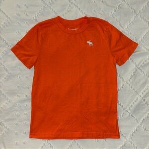 Abercrombie Kids Youth Boys T-Shirt
